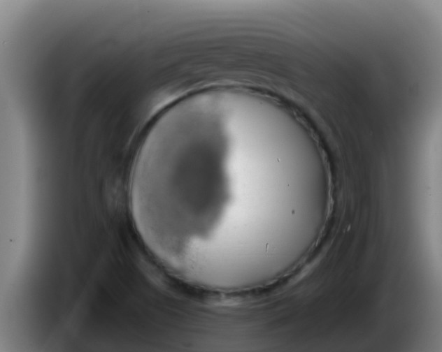 X0000086301505200704201932