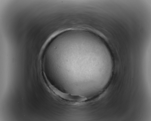 X0000086301506200704201932