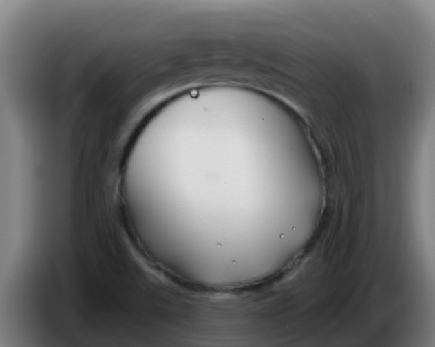 X0000086301507200704201932