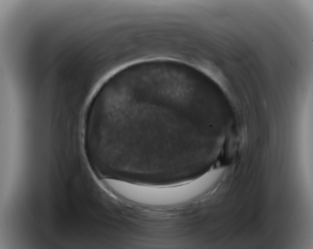 X0000086301508200704201932