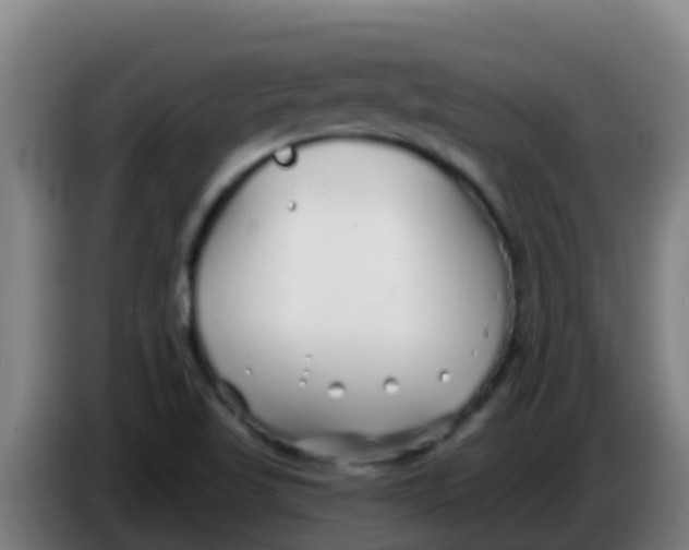 X0000086301509200704201932