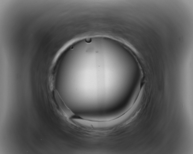 X0000086301510200704201932