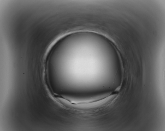 X0000086301511200704201932