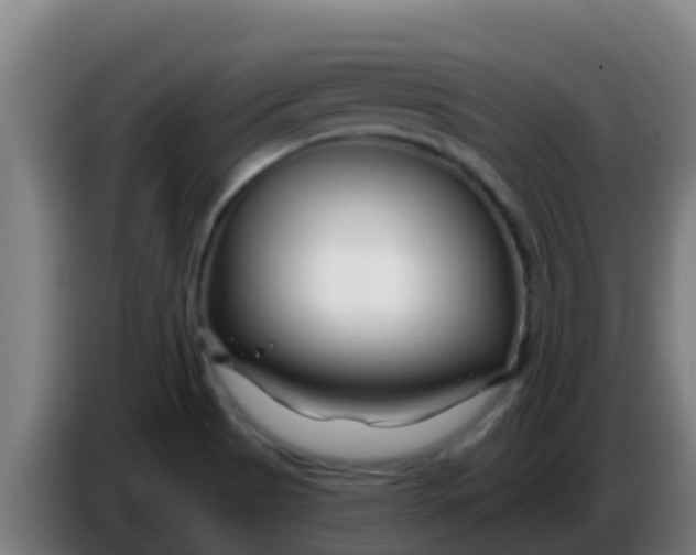 X0000086301513200704201932