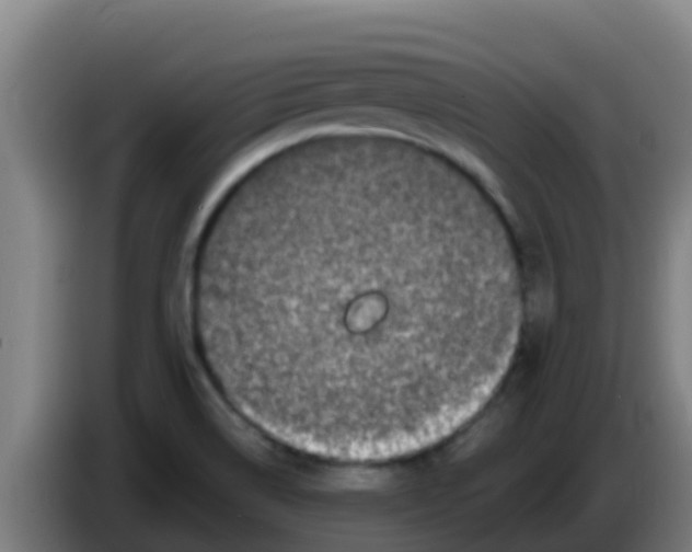 X0000086301514200704201932