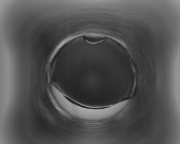 X0000086301515200704201932