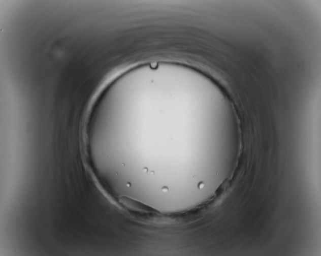 X0000086301517200704201932