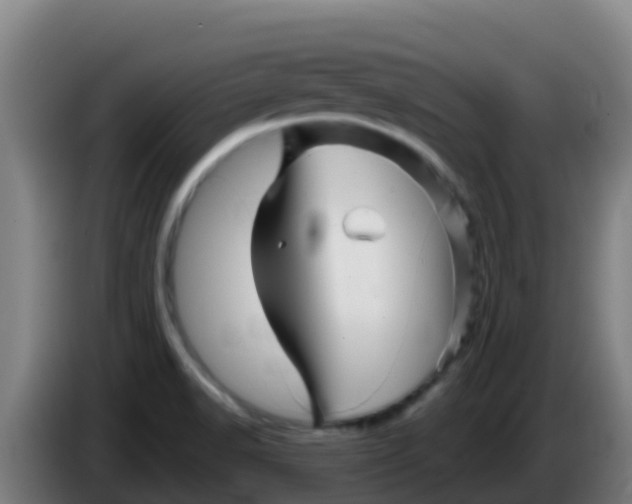 X0000086301518200704201932