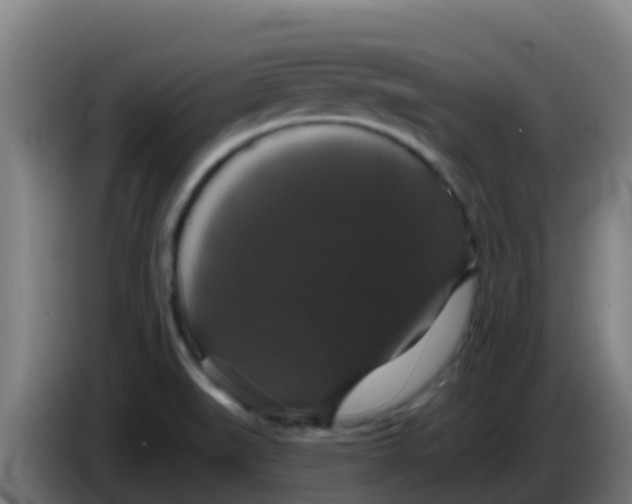 X0000086301519200704201932