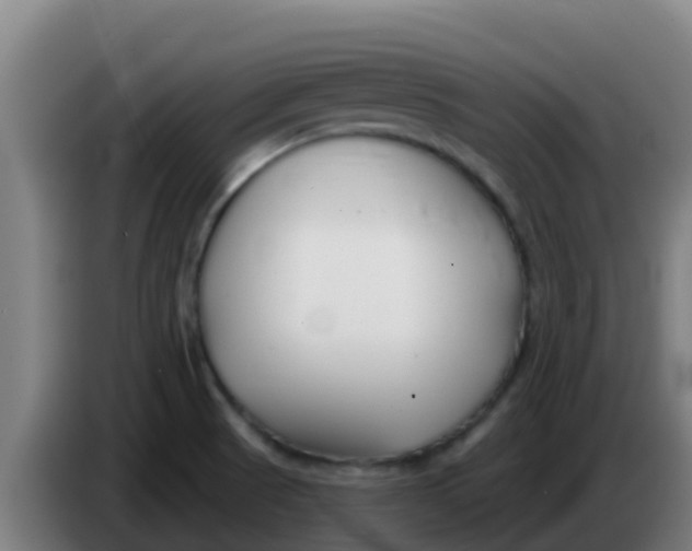 X0000086301521200704201932