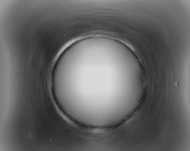 X0000086301523200704201932