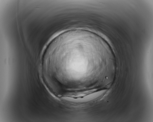 X0000086301525200704201932