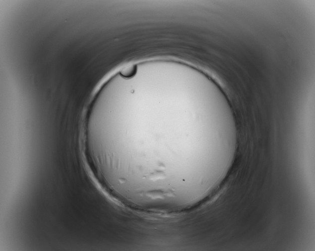 X0000086301526200704201932