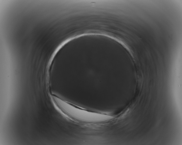 X0000086301527200704201932