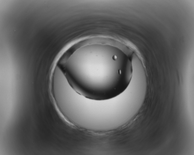 X0000086301528200704201932