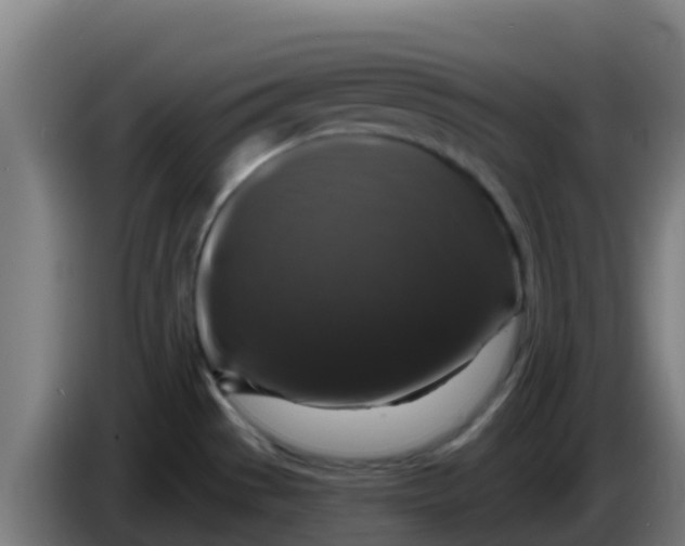 X0000086301529200704201932