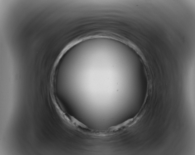 X0000086301530200704201932