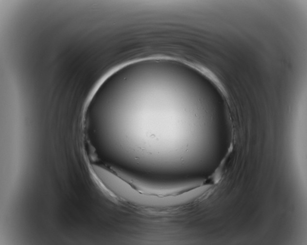 X0000086301532200704201932