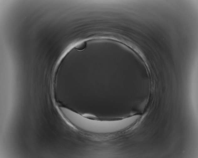 X0000086301533200704201933