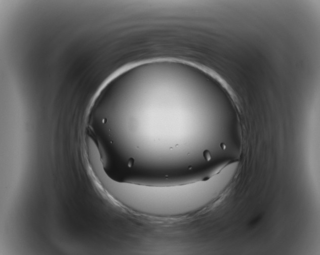 X0000086301534200704201933