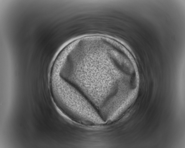 X0000086301535200704201933