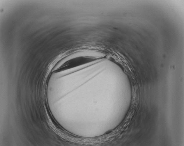 X0000086300003200704271838