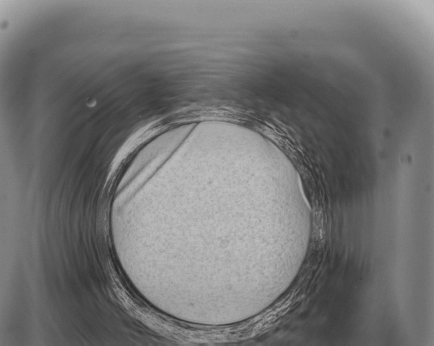 X0000086300004200704271838