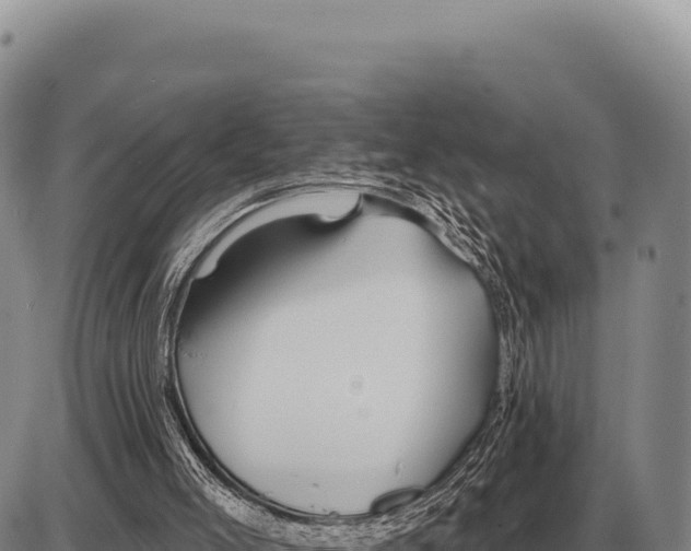 X0000086300005200704271838