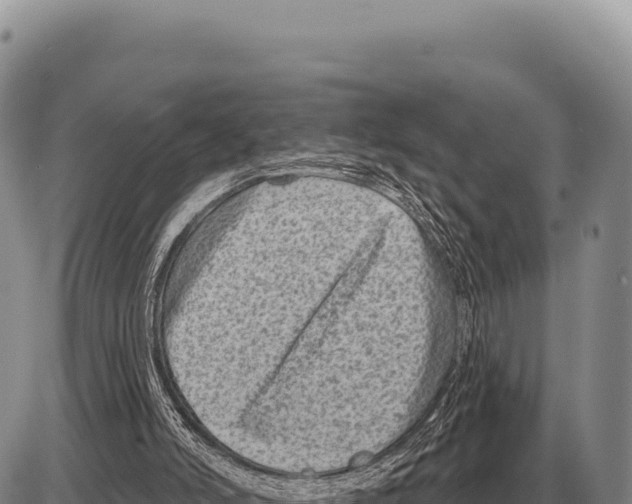 X0000086300006200704271838