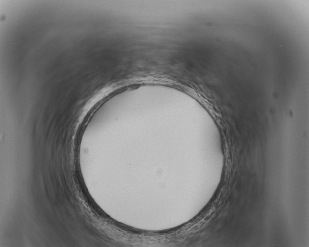 X0000086300008200704271838