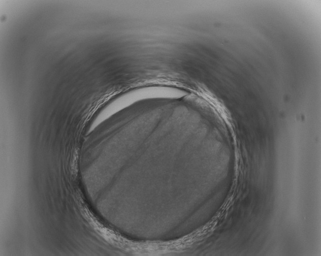 X0000086300009200704271838