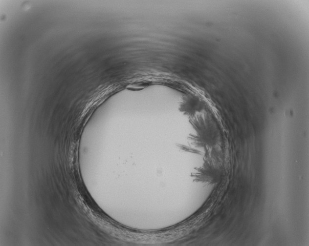 X0000086300010200704271838