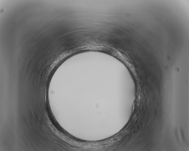 X0000086300011200704271838