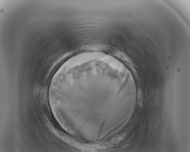 X0000086300012200704271838