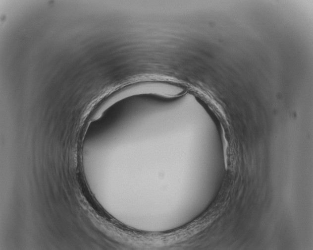 X0000086300015200704271838