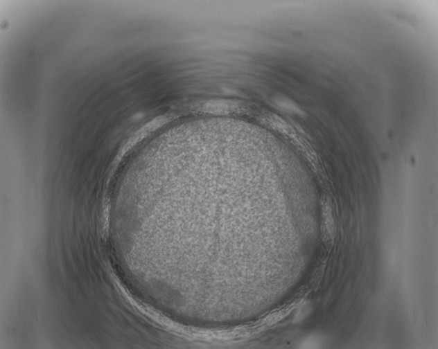 X0000086300016200704271838