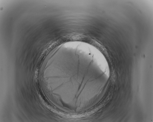 X0000086300018200704271838