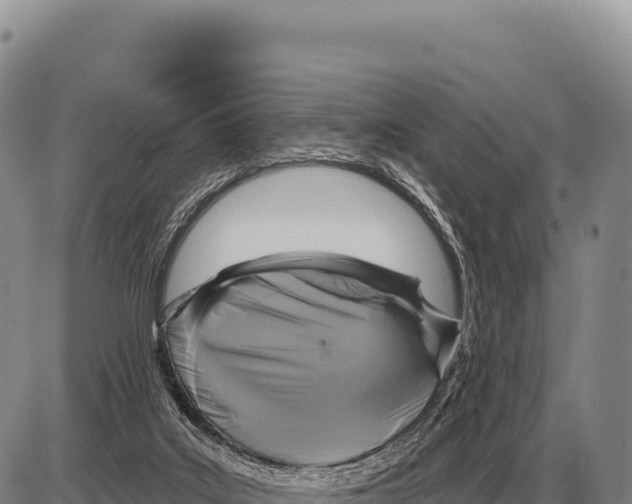 X0000086300019200704271838