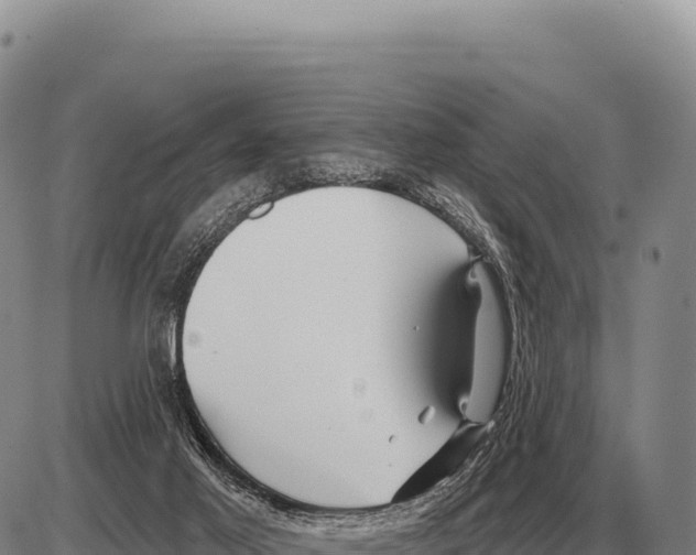 X0000086300021200704271838