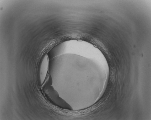 X0000086300023200704271838