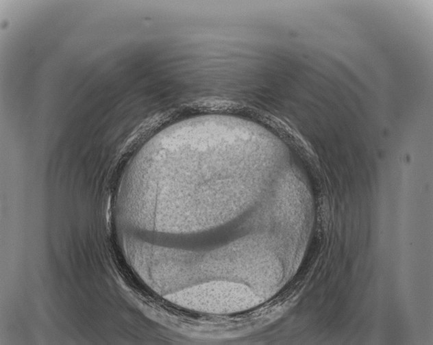 X0000086300024200704271838