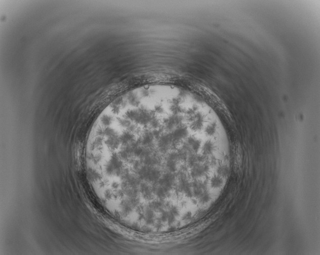 X0000086300026200704271838
