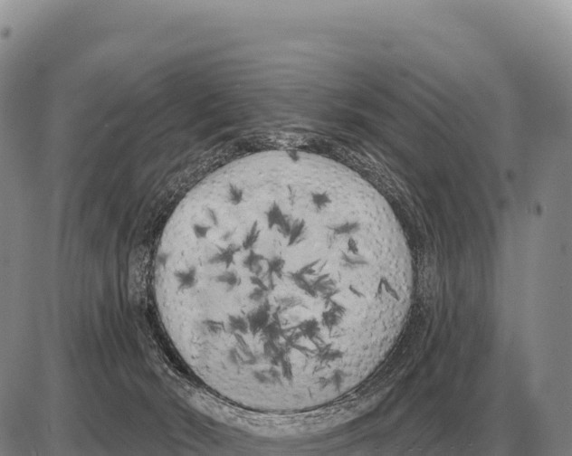 X0000086300030200704271838