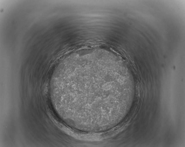 X0000086300032200704271838