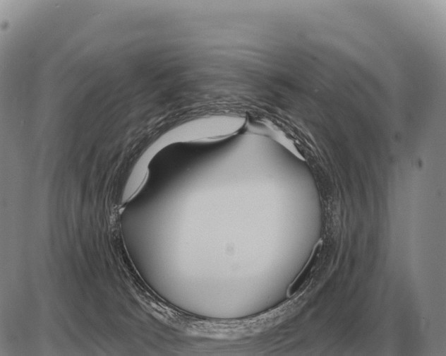 X0000086300033200704271838