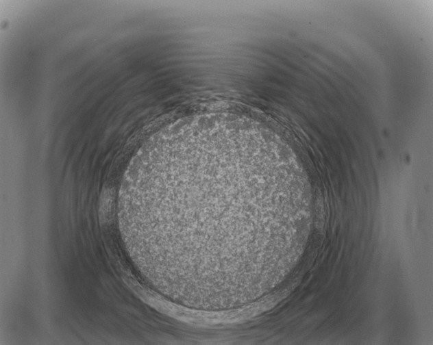 X0000086300034200704271838