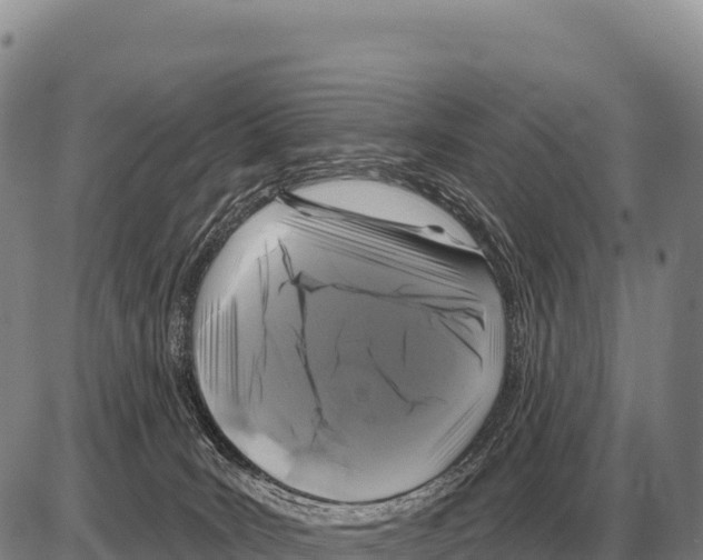 X0000086300035200704271838