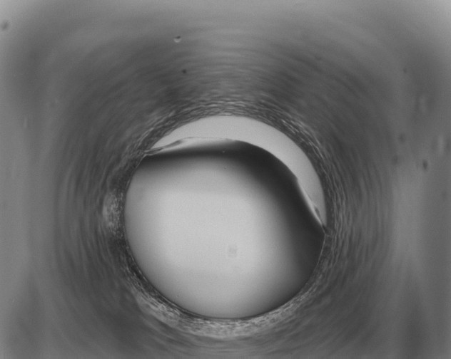 X0000086300037200704271838