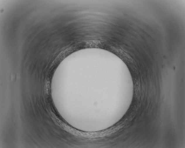 X0000086300038200704271838