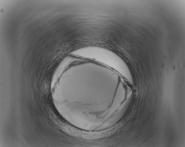 X0000086300039200704271838